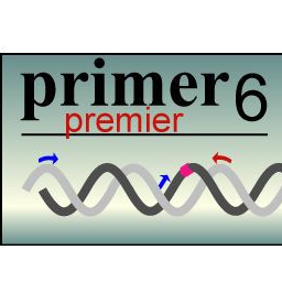 Primer Premier